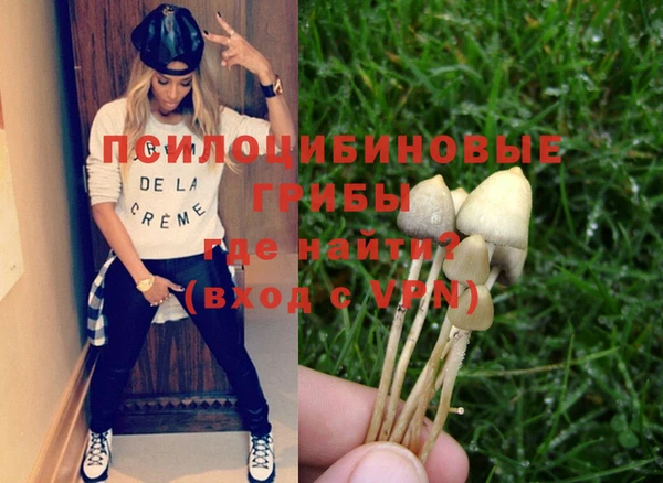 ПСИЛОЦИБИНОВЫЕ ГРИБЫ Алексин
