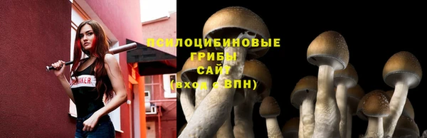 а пвп мука Алзамай