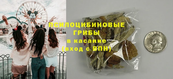 ПСИЛОЦИБИНОВЫЕ ГРИБЫ Алексин