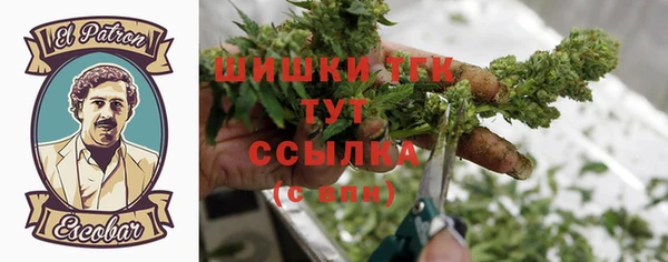ПСИЛОЦИБИНОВЫЕ ГРИБЫ Алексин