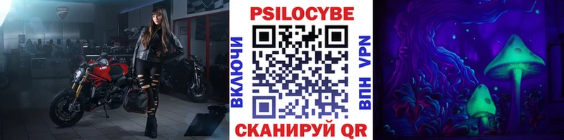 купить   Конаково  Псилоцибиновые грибы мицелий 